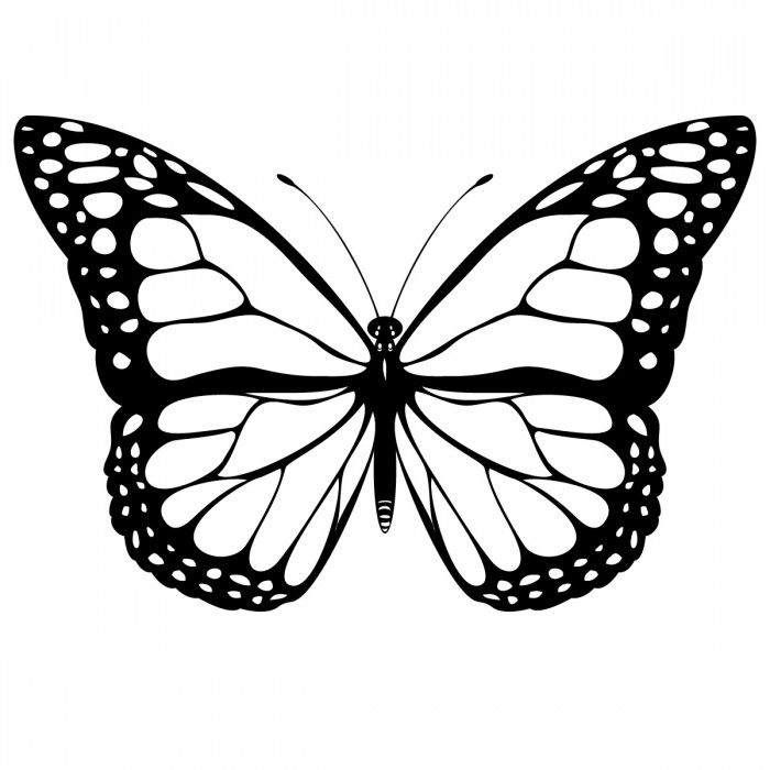 Painted lady butterfly coloring pages butterfly clip art butterfly printable butterfly coloring page