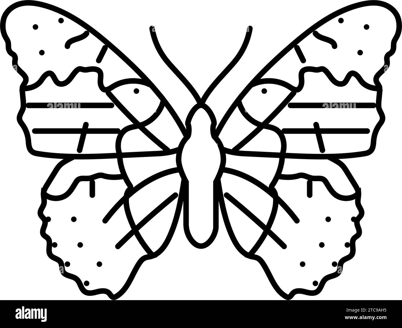 Painted lady butterfly cut out stock images pictures