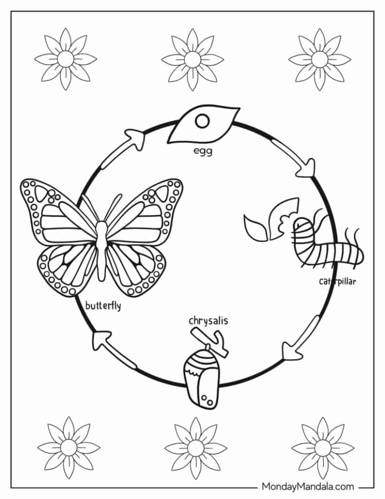 Butterfly coloring pages free pdf printables