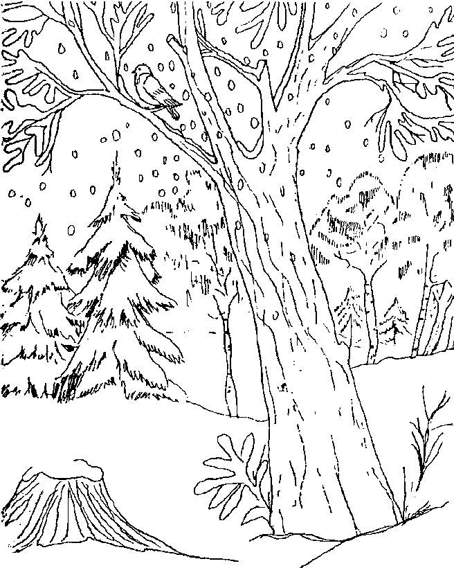 Paisaje para colorear paisaj dibujos para colorear