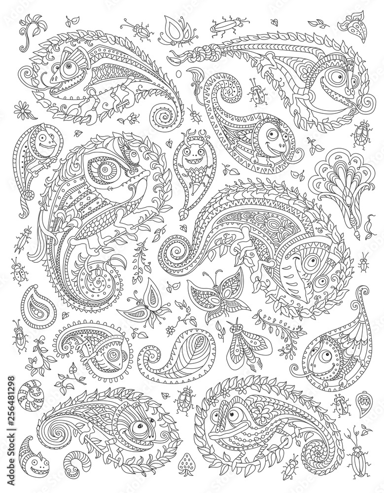 Paisley pattern doodle elements set fantastic chameleon silhouette flower branch leaves butterfly bug insect black and white contour line coloring book for children and adults vector