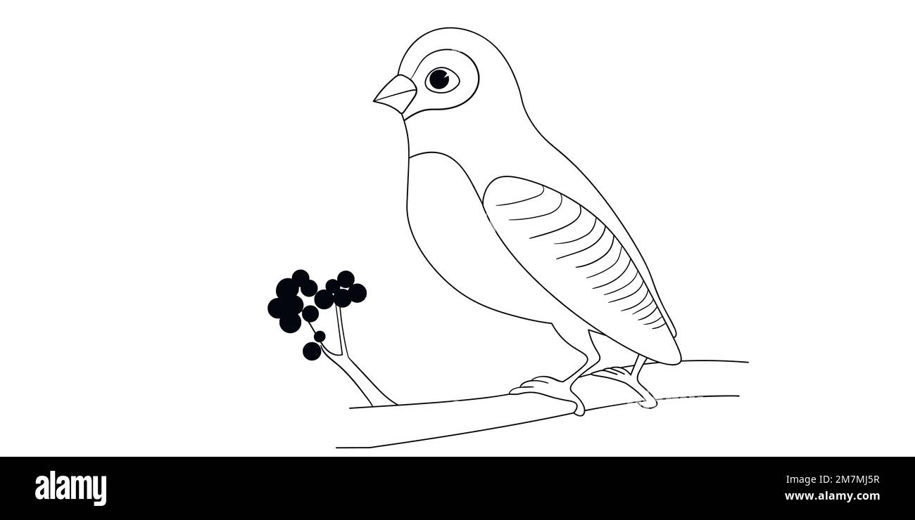 Bird singing black and white stock photos images