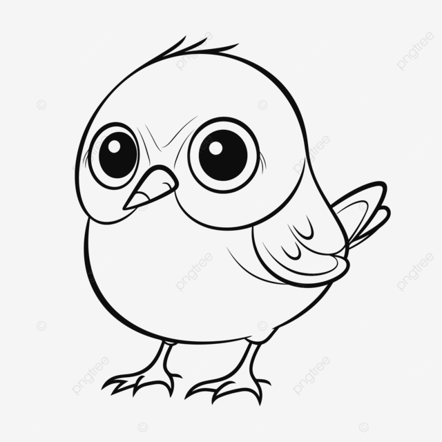 Dibujo de paginas para colorear de pajaros lindos pajaritos gratis vector png dibujos dibujo bebe dibujo de pãjaro dibujo de ala png y vector para dcargar gratis