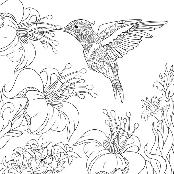 Adult coloring pages floral stock illustrations royalty