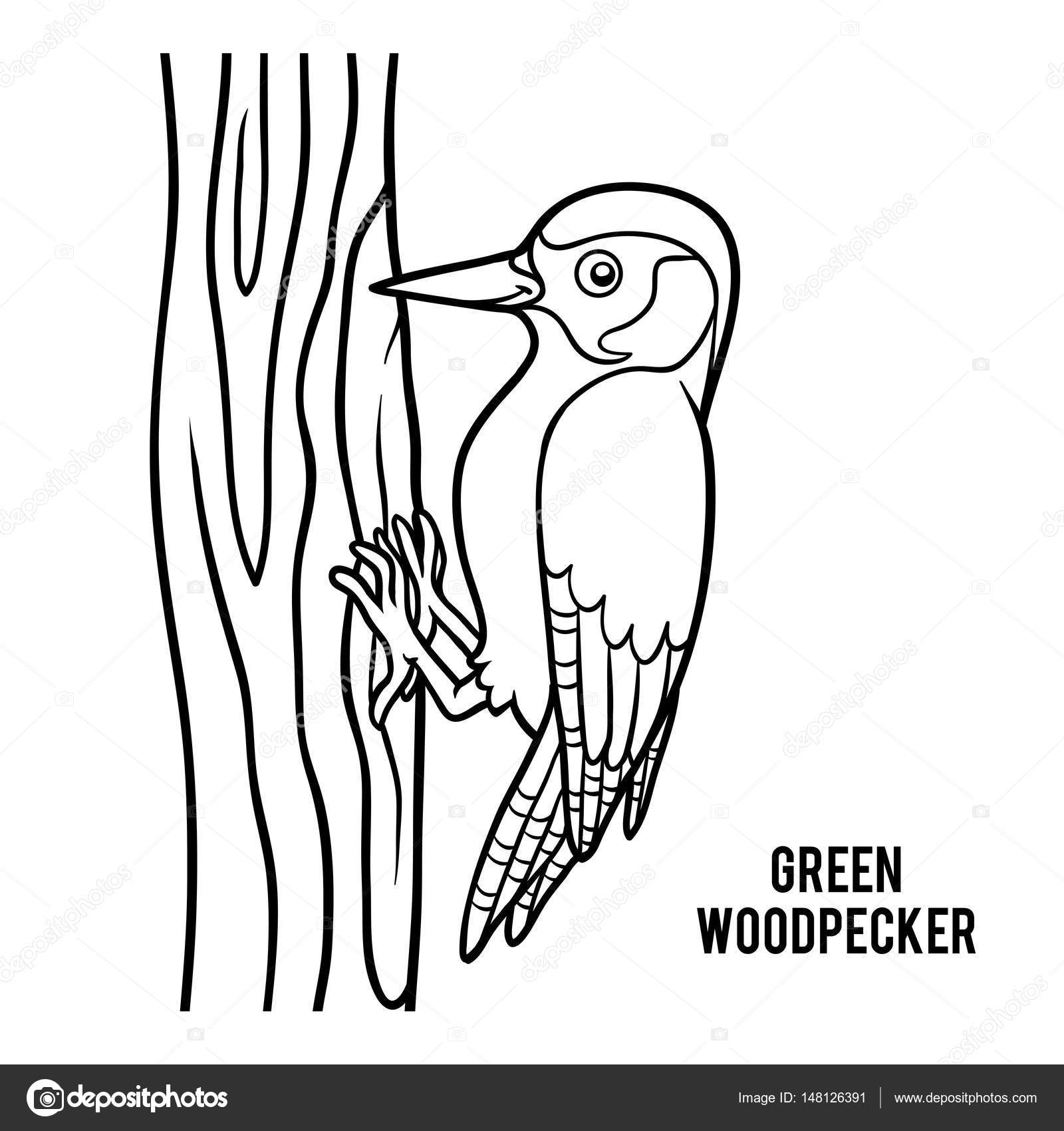 Libro para colorear pãjaro carpintero verde vector de stock por ksenyasavva