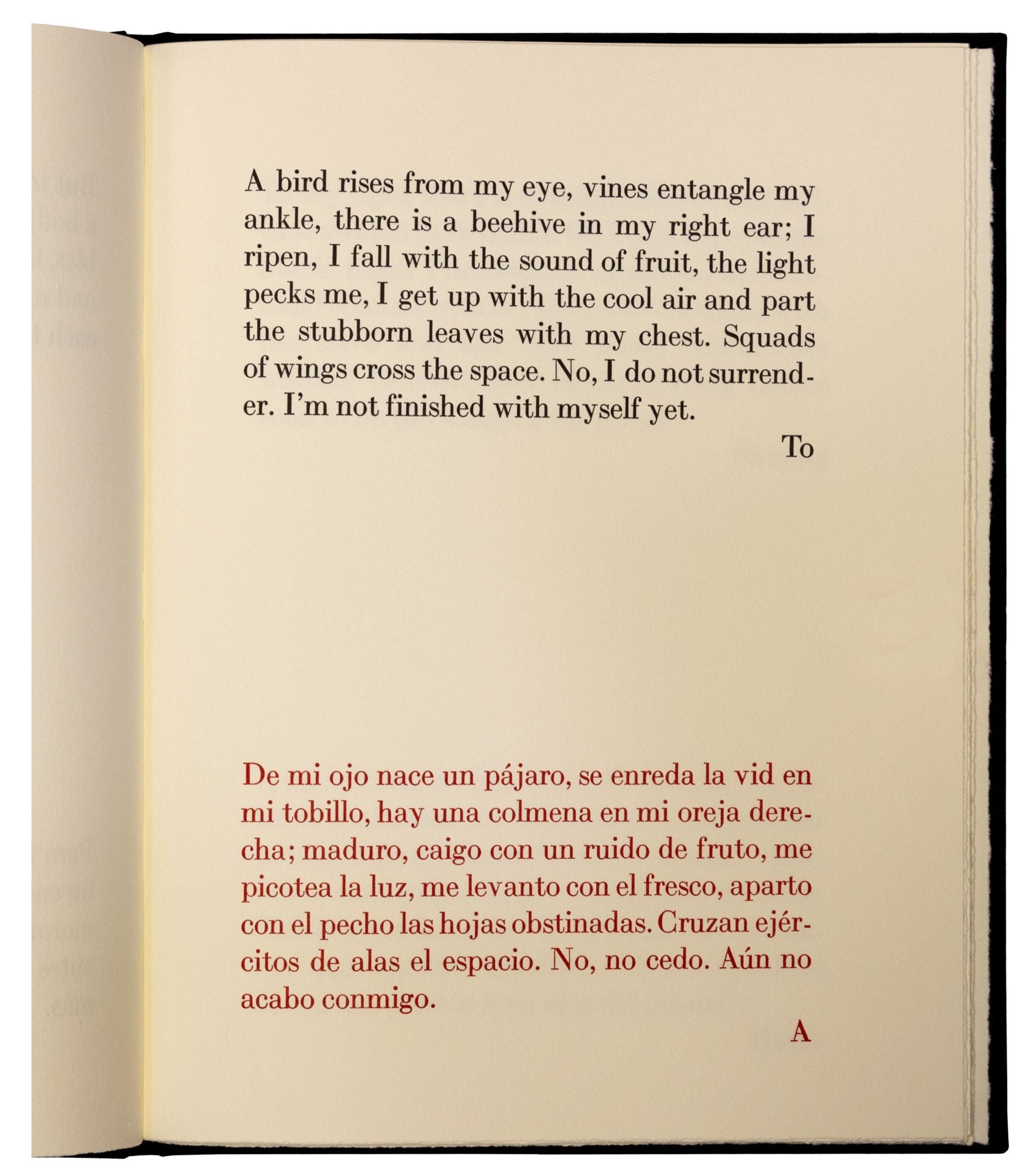 The besiegedel sitiado gunther gerzso octavio paz