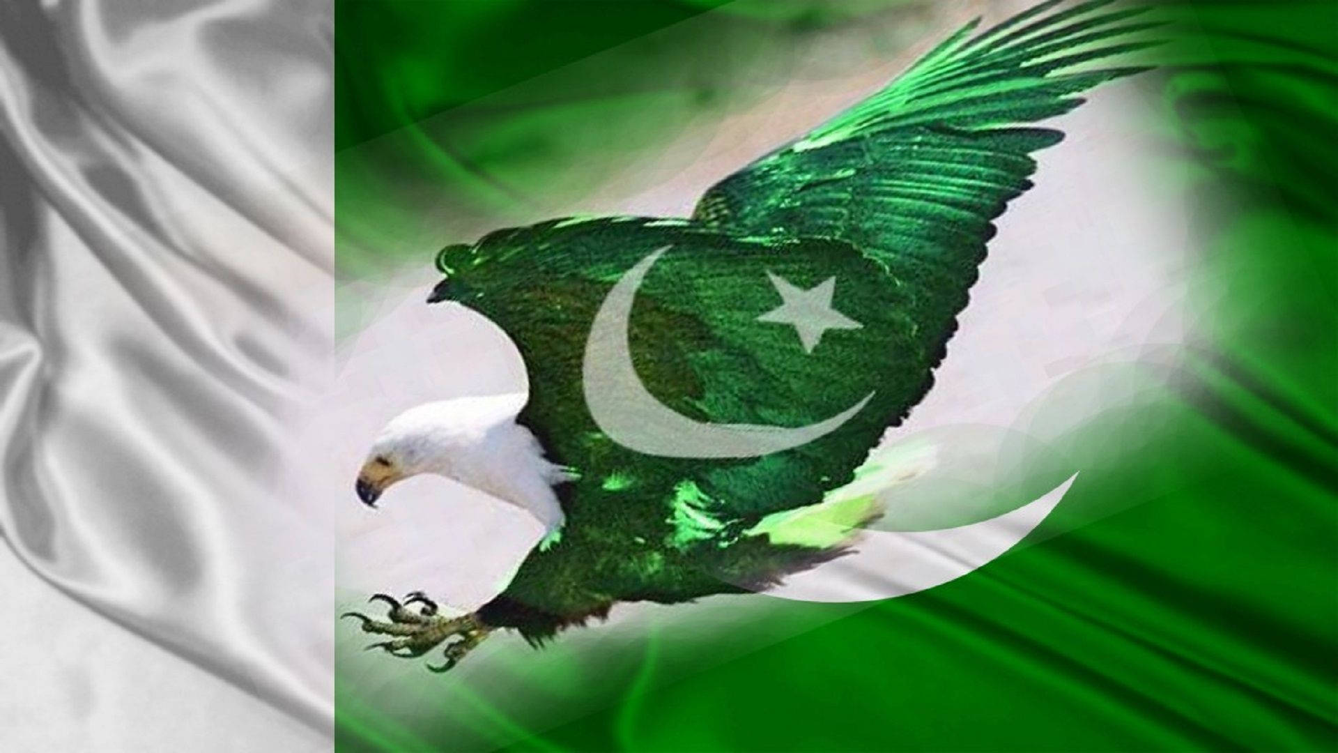 Download pakistan flag on eagles body wallpaper