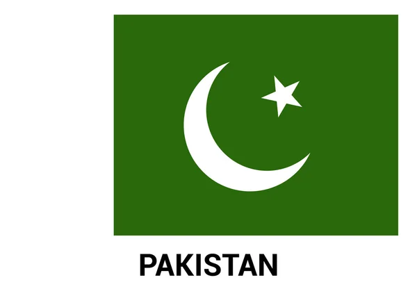 Pakistani flag vector images