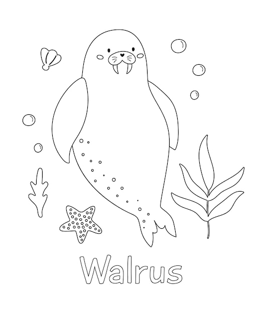 Libro para colorear con animal del ocãano dibujos animados doodle morsa trellas de mar y algas marinas vida submarina aprender vocabulario de palabras en inglãs para niãos pãgina educativa para colorear ilustraciãn