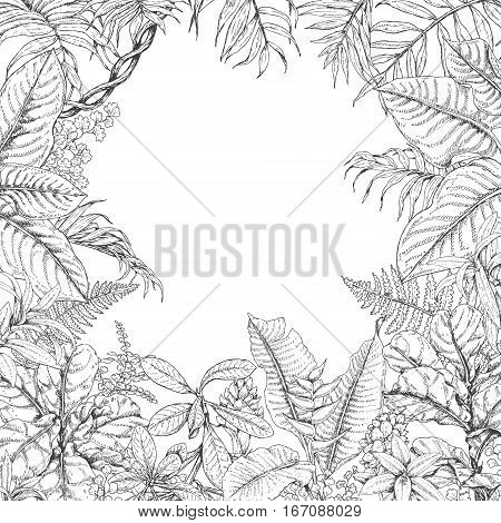 Hand drawn branches vector photo free trial bigstock