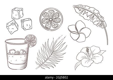 Whiskey and soda cocktail tropical flowers and leaves coloring page exotic plants and blossoms set banana and palm leaves lemon slice ice cubes hibiscus and plumeria flowers premium vector stock vector image