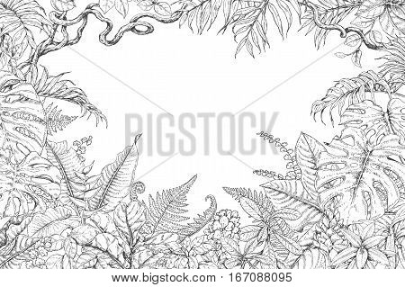 Hand drawn branches vector photo free trial bigstock