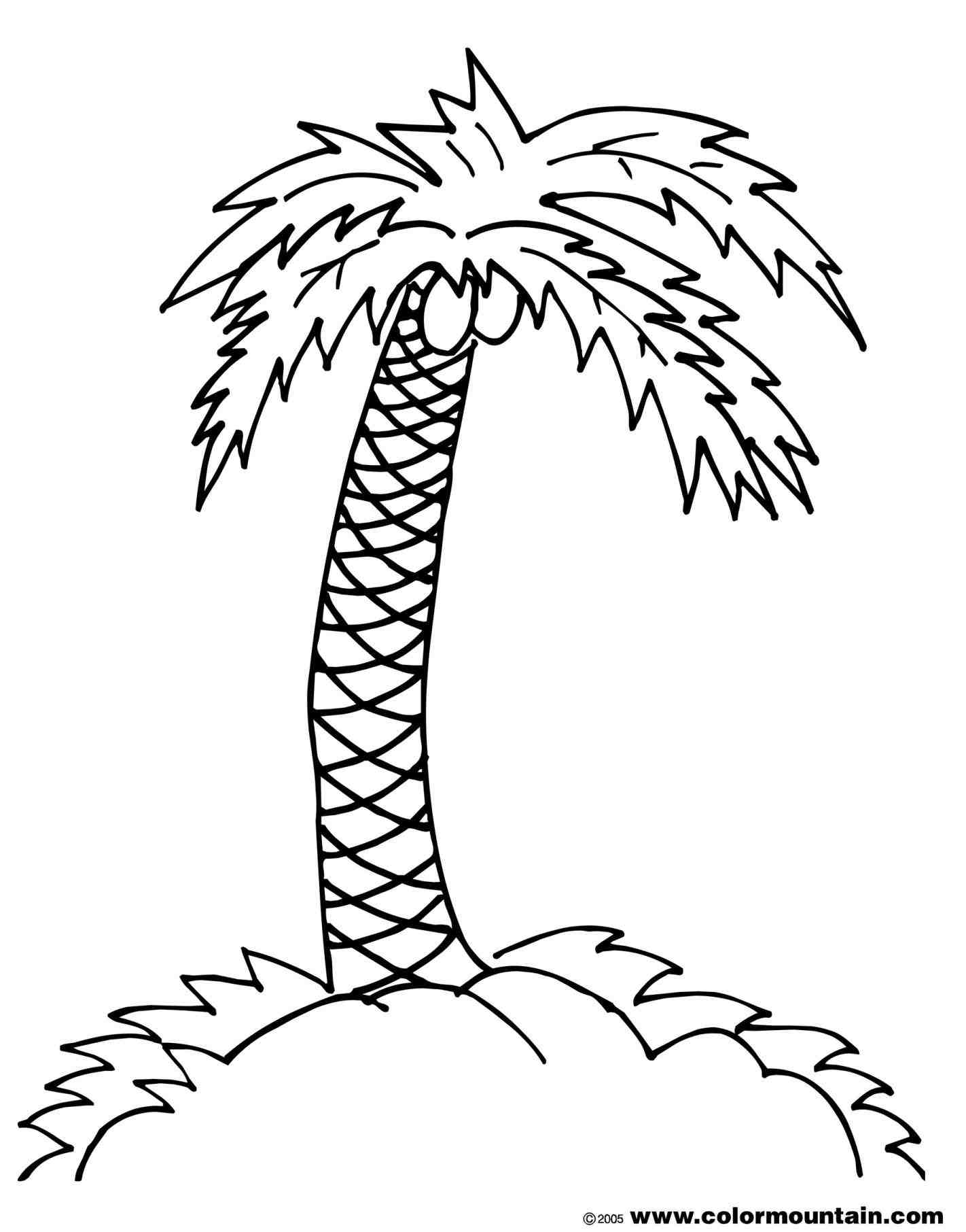 Free palm branch coloring page download free palm branch coloring page png images free cliparts on clipart library