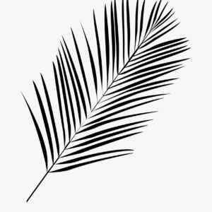 Palm leaf coloring pages printable for free download
