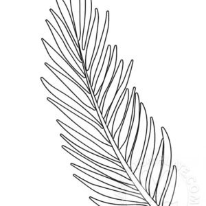 Palm leaf coloring pages printable for free download