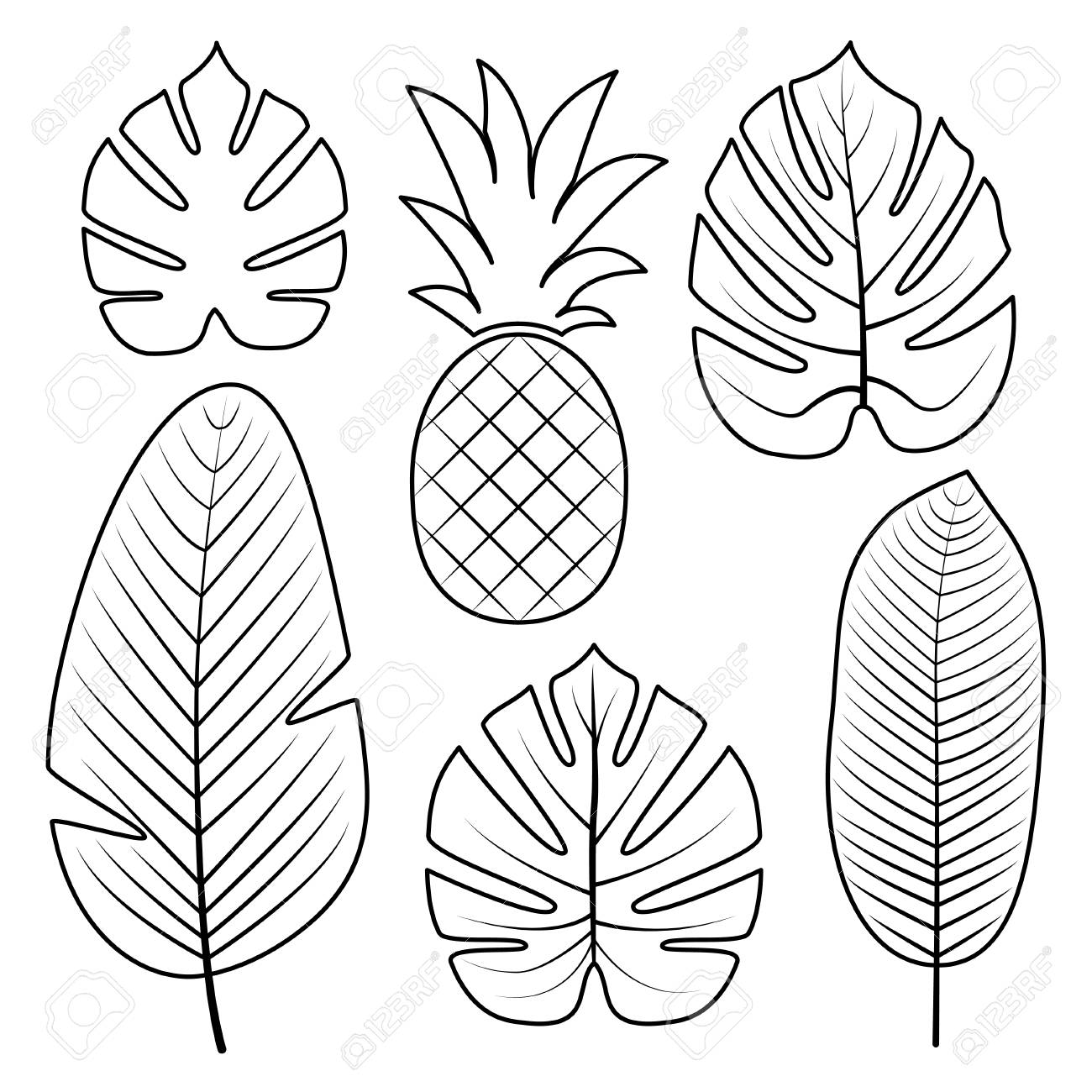 Tropical palm leaves and pineapple isolated on white background outline vector illustration jungle leaves used illustration for coloring book posters invitations royalty free svg cliparts vectors and stock illustration image
