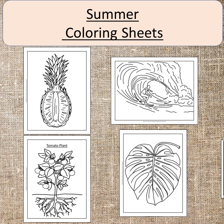 Summer color sheets pages art garden flowers butterfly plants made by teachers