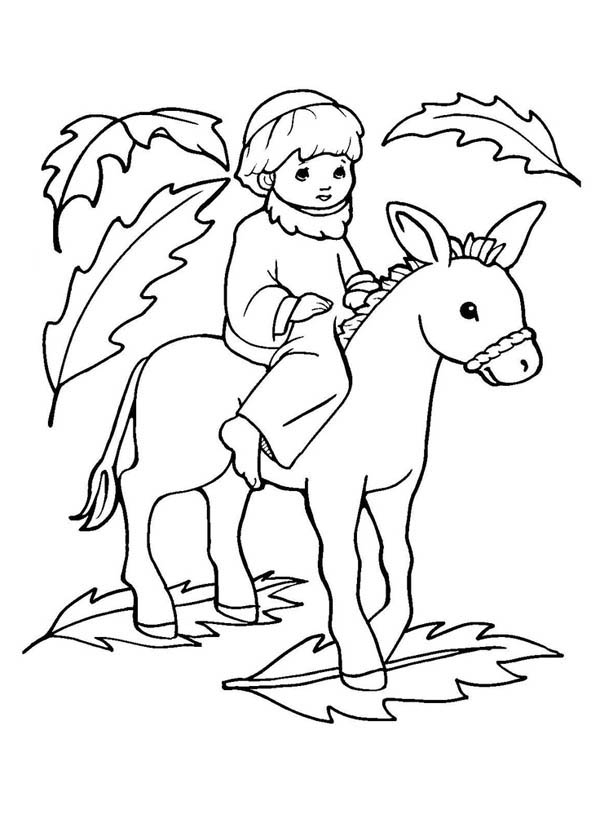 Picture of jesus on a donkey palm sunday coloring page color luna