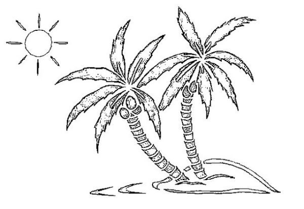 Palm tree coloring pages pdf for kids