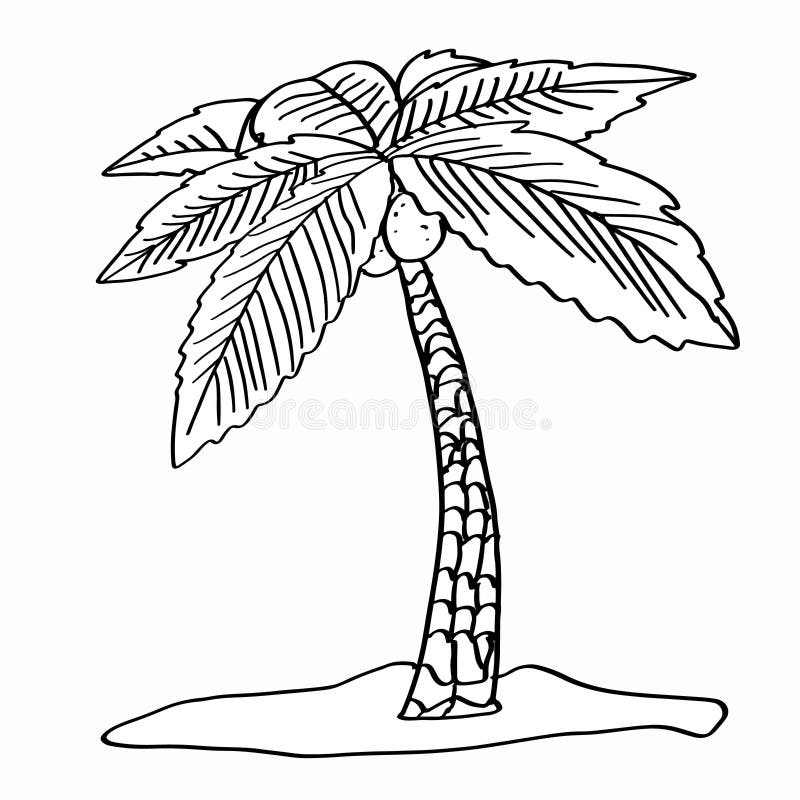 Palm tree coloring stock illustration illustration of hair