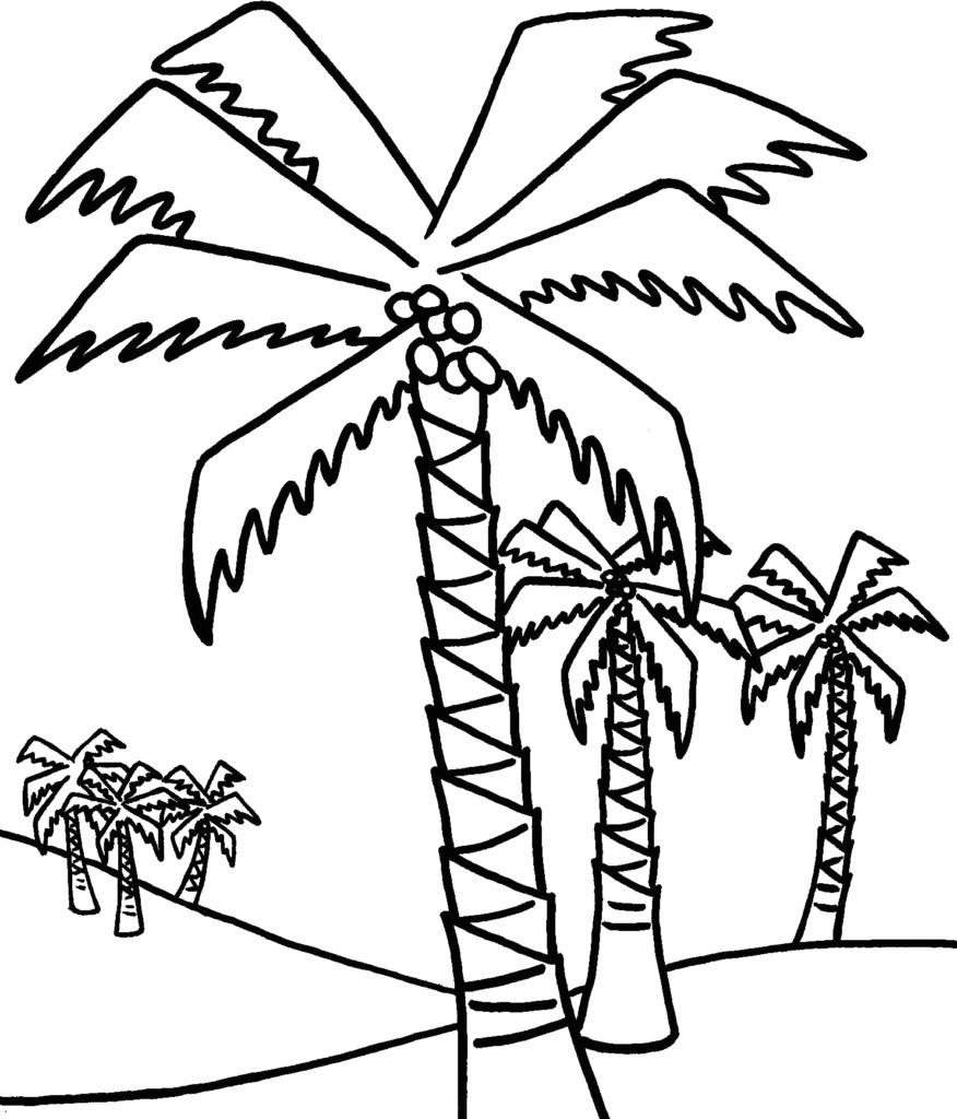Palm tree coloring pages