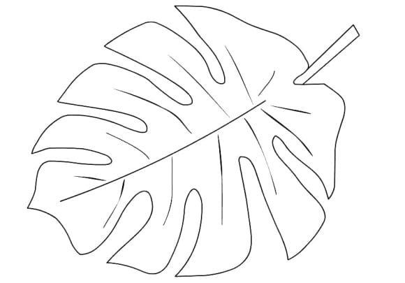Palm branch coloring page leaf coloring page leaf template coloring pages