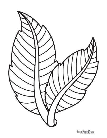 Printable leaf coloring pages â sheets