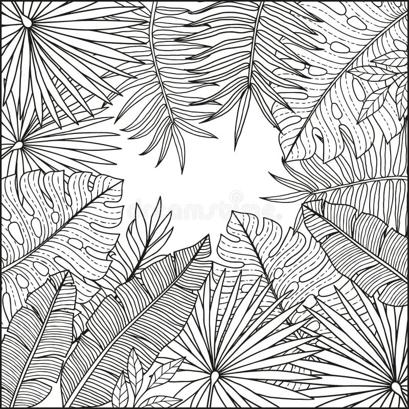 Vector coloring book for adult tropical plant background with leaves of bananas and palm trees vector isolated layers stock vector