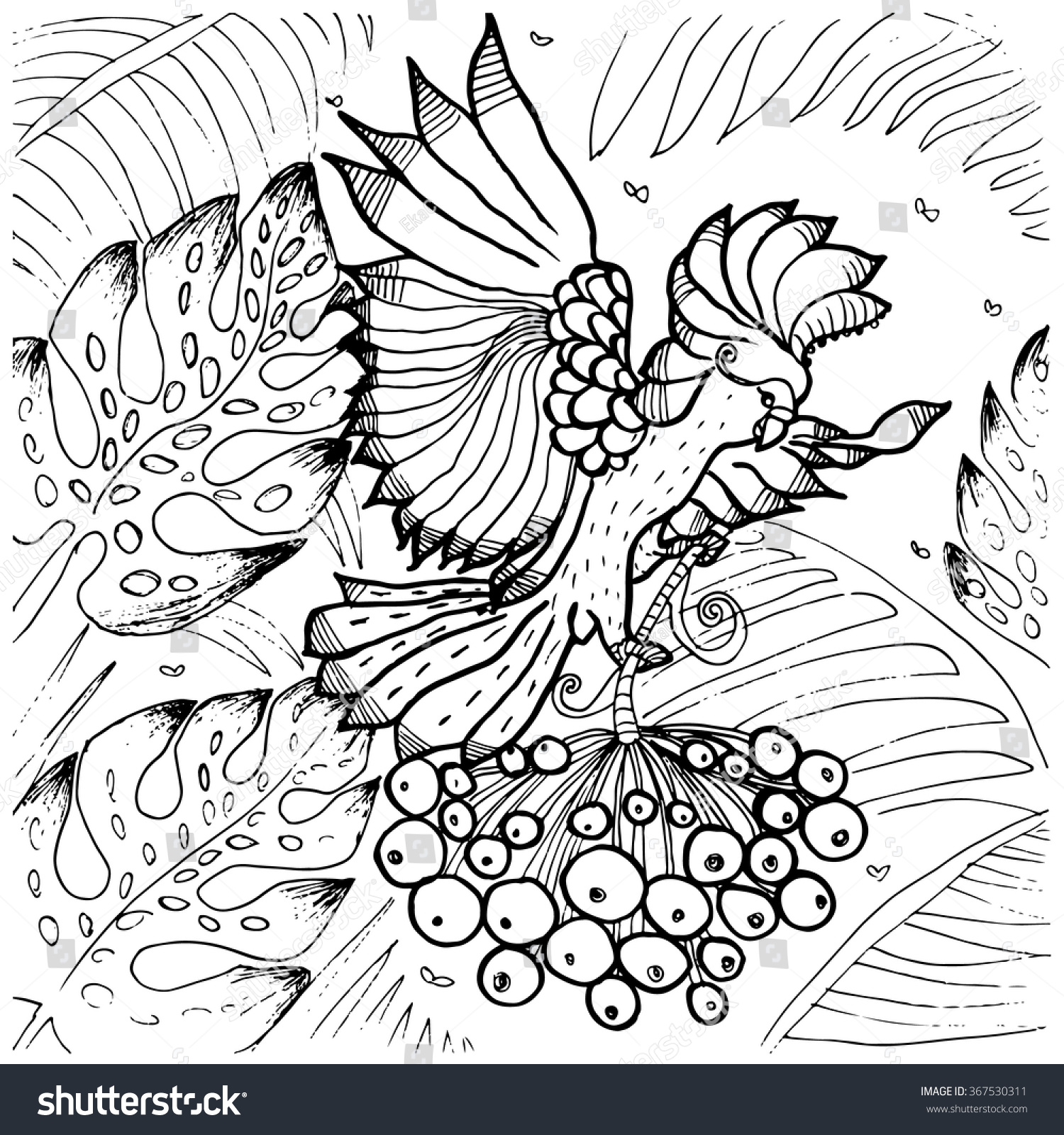 Cockatoo parrot coloring page exotic tropical stock vector royalty free