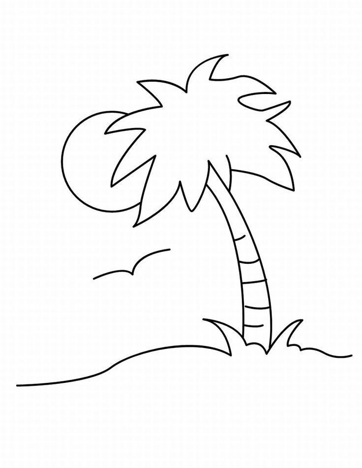 Free palm tree leaves template download free palm tree leaves template png images free cliparts on clipart library