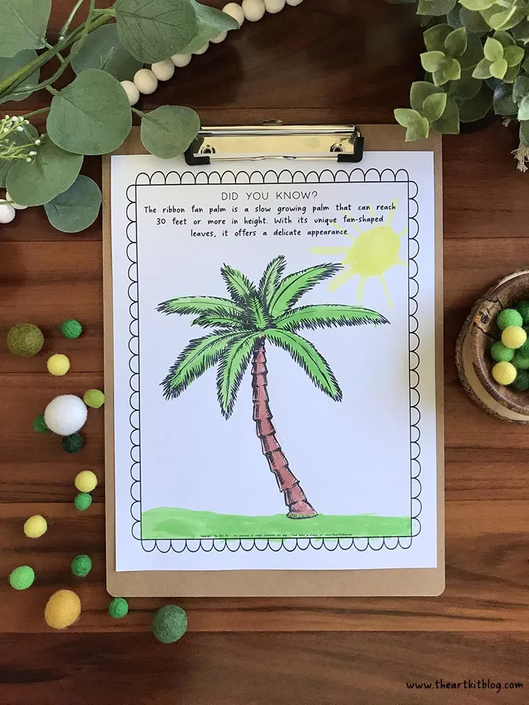 Ribbon fan palm coloring page free printable â the art kit
