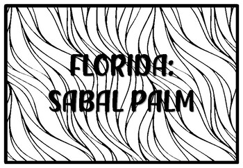 Florida sabal palm state tree coloring pages by anisha sharma tpt
