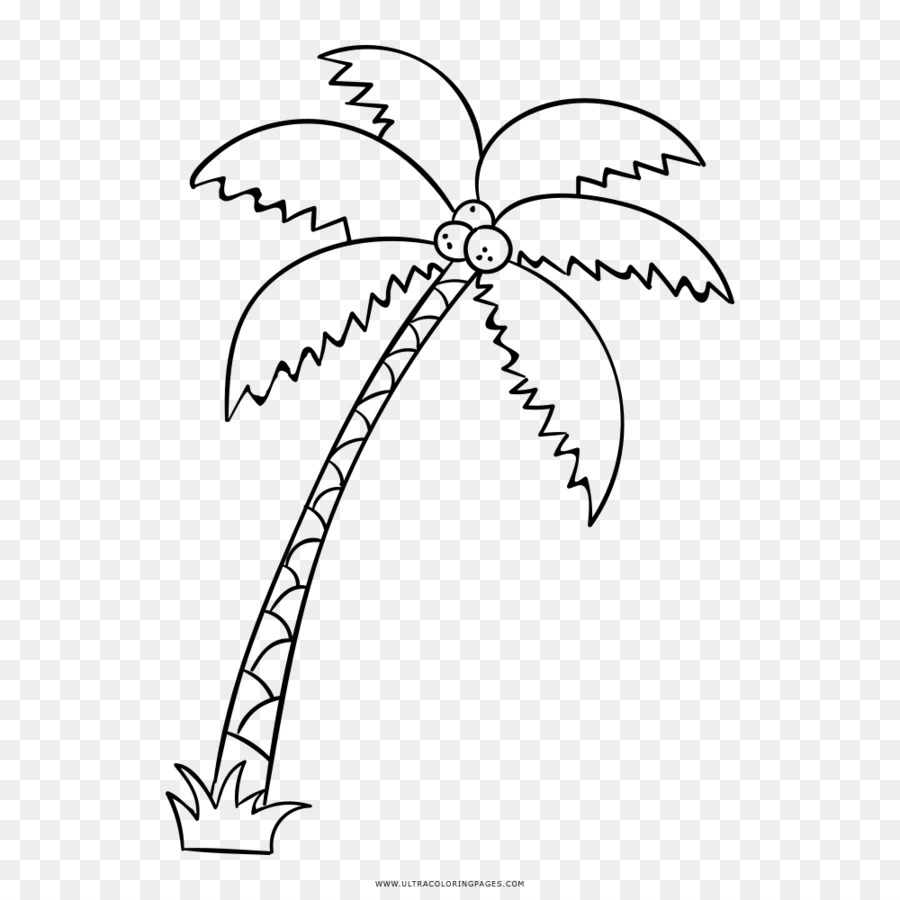 Black and white flower png download