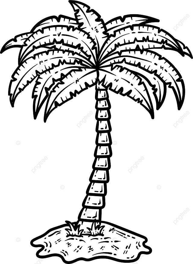 Adult coloring page minimalist palm tree illustration for summer vector weather line art colouring page png and vector with transparent background for free download
