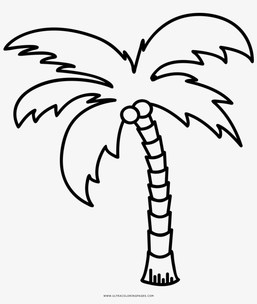 Dibujo de palmera para colorear ultra coloring pages