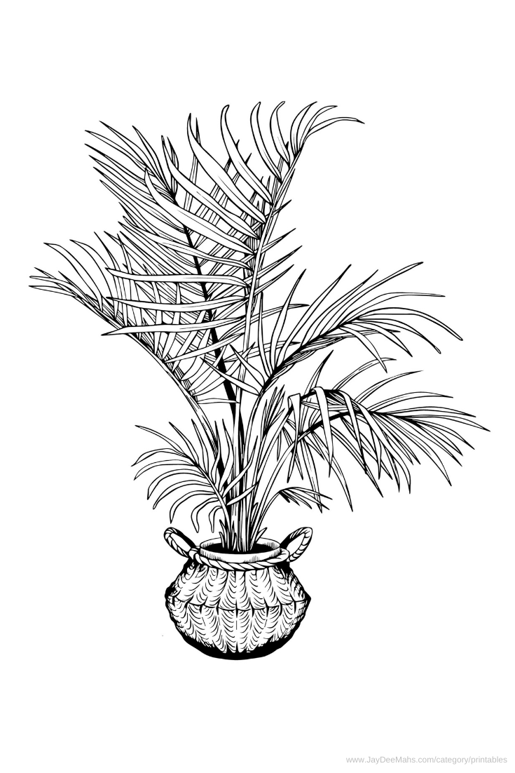 Houseplants coloring page areca palm and fun ideas for using it