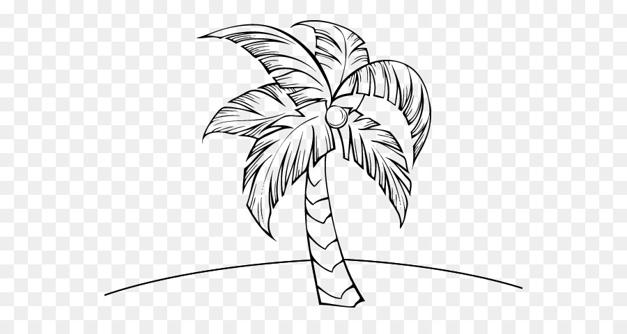 Coconut tree drawing png download