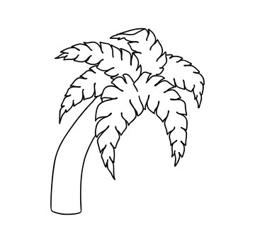 Premium vector palm tree tropical tree plant nature doodle linear cartoon coloring book