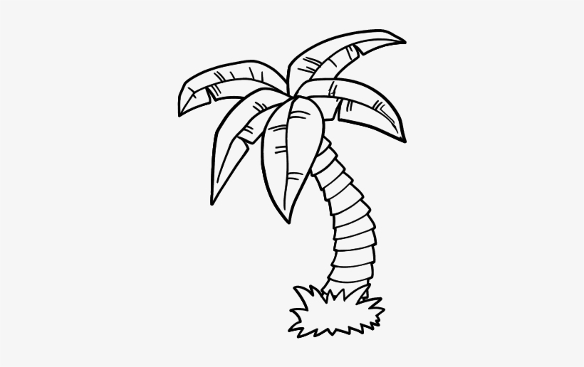 Colouring pages palm trees
