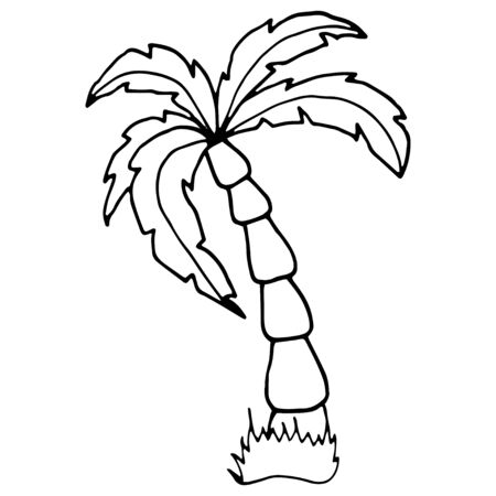 Palm tree coloring page stock vector illustration and royalty free palm tree coloring page clipart