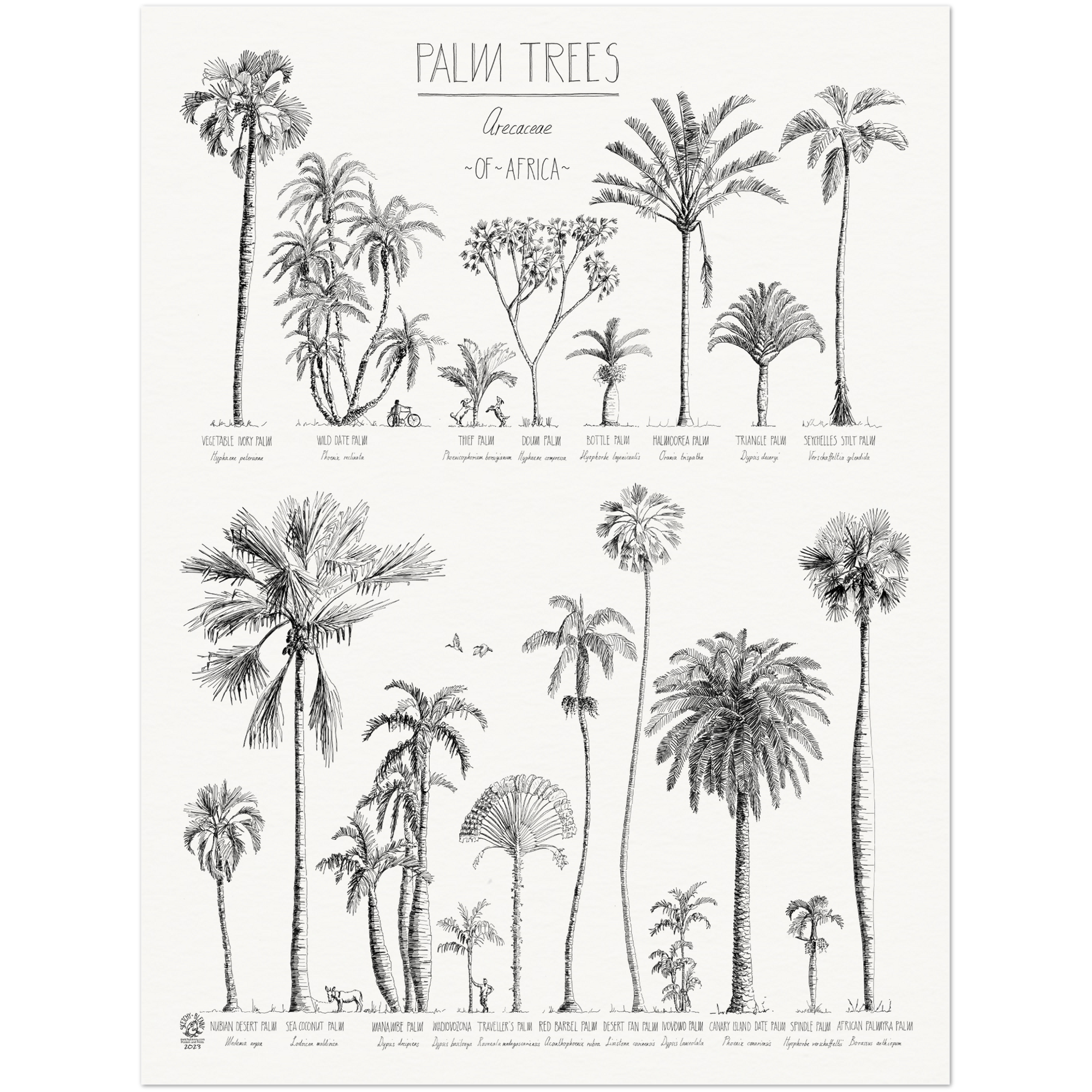 Palm trees of africa poster xcm x