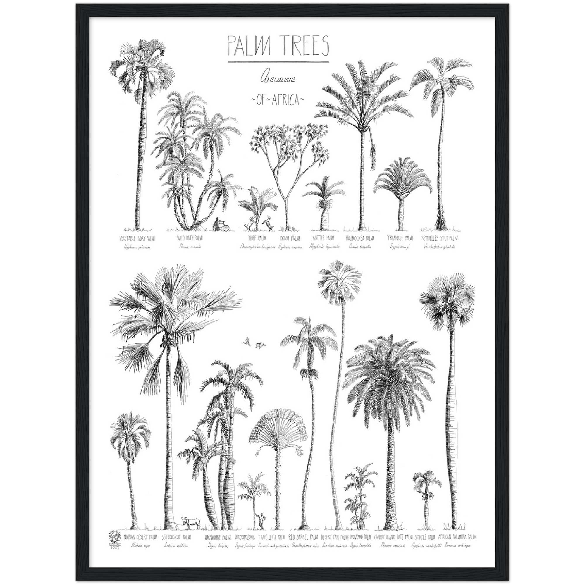 Palm trees of africa poster xcm x