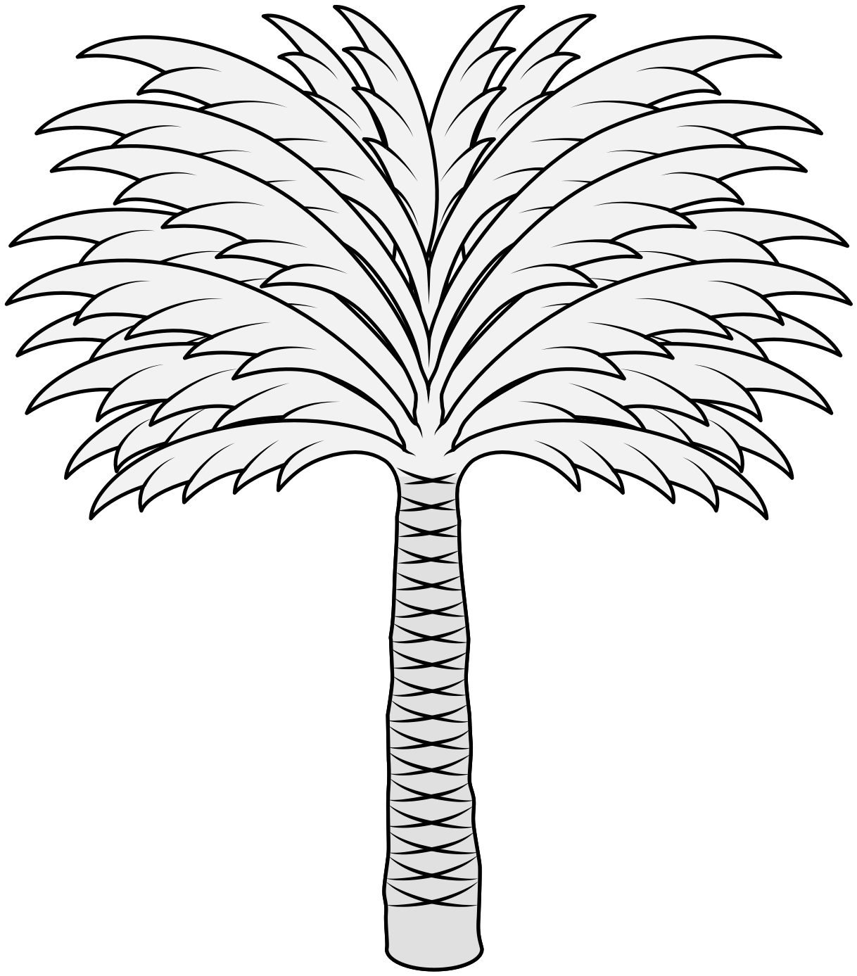 Palm