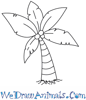 How to draw a palm tree