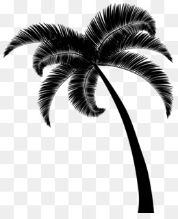 Black palm tree png