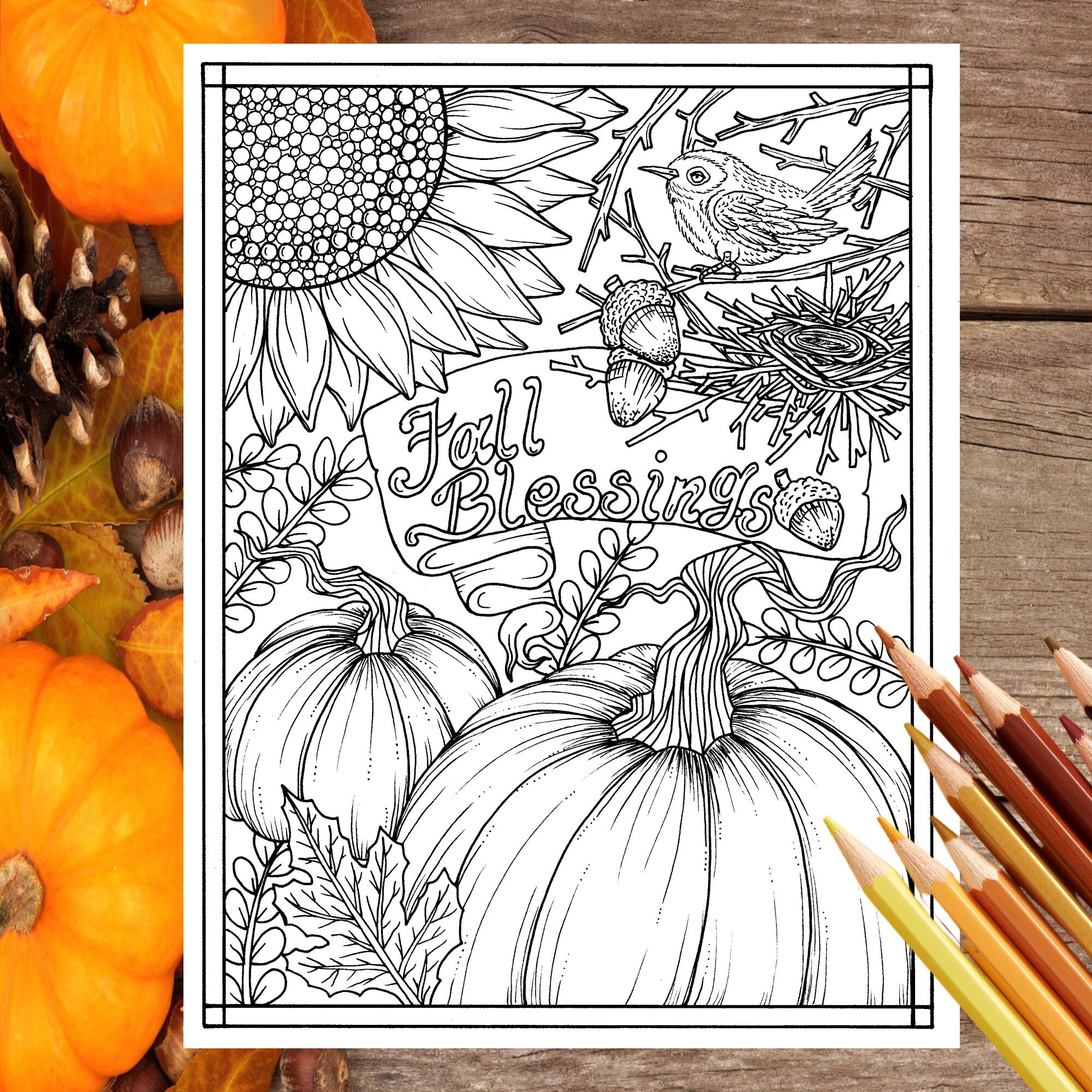 Download fall blessings instant digital coloring page autumn sunflower pumpkin digi stamp clip art instant download