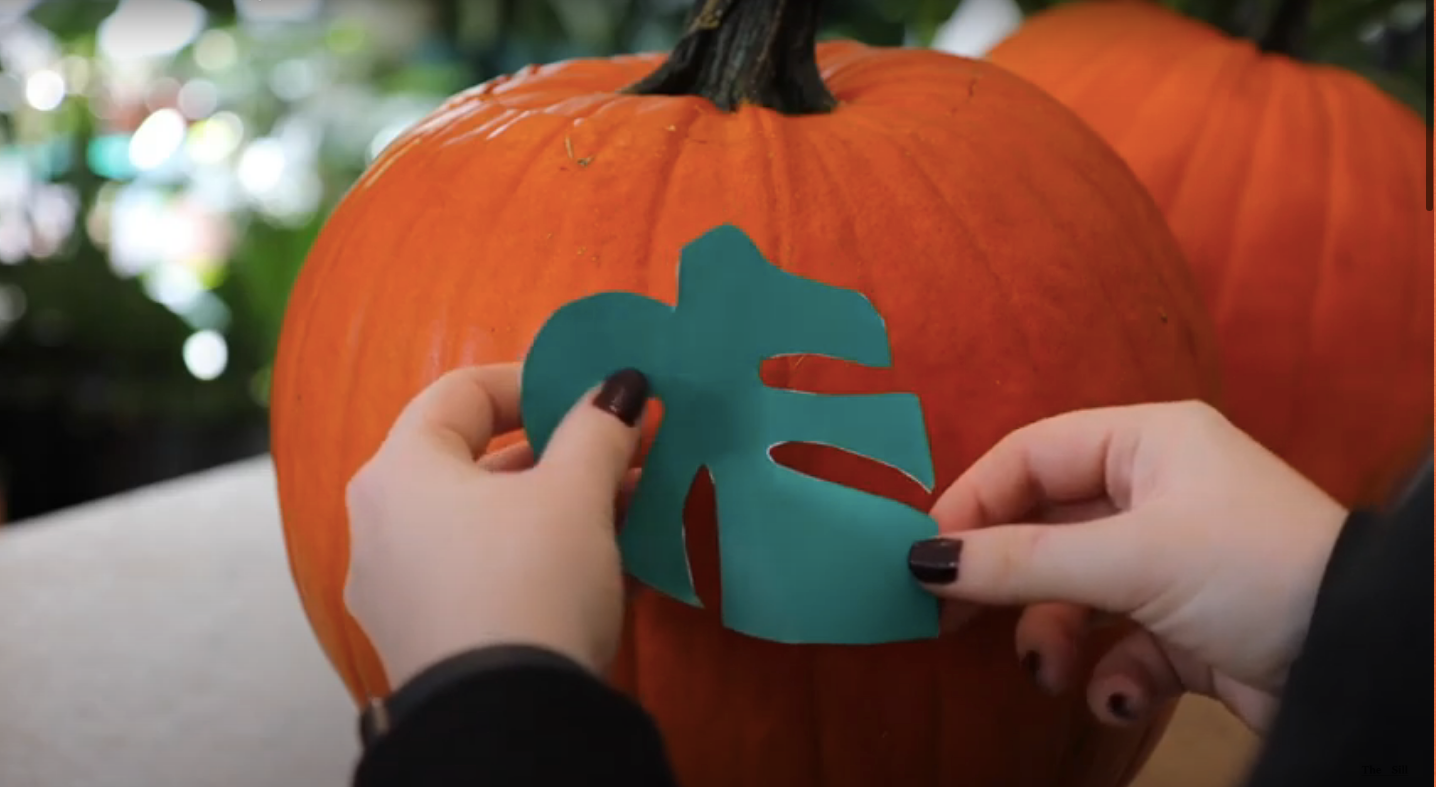 How to carve a pumpkin free plant stencils