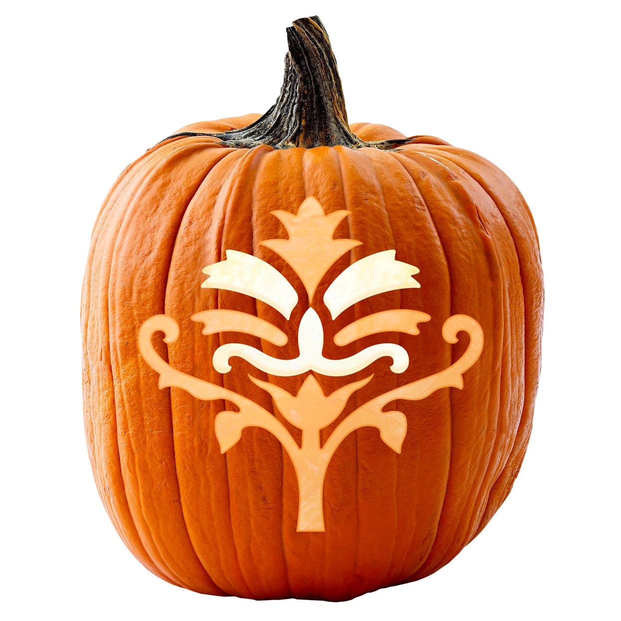 Free pumpkin