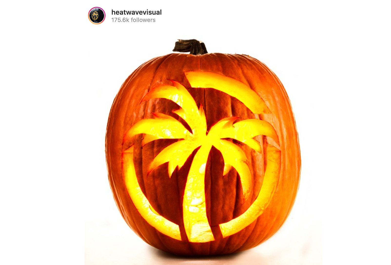 Tropical pumpkin carving