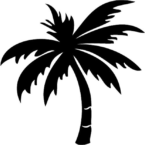 Palm tree pumpkin stencils